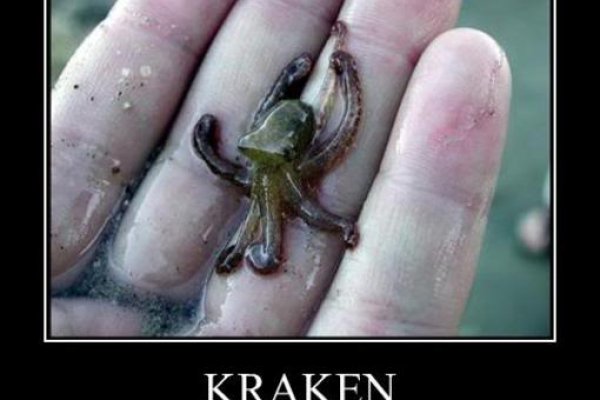 Где взять ссылку на кракен kraken014 com