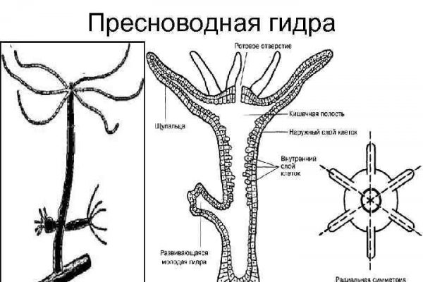 Даркнет ссылка