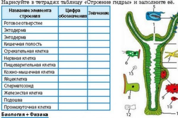 Вывести деньги с кракена