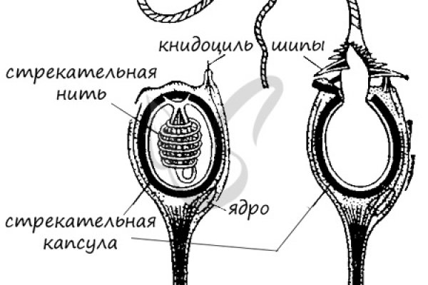 Kraken официальный сайт ссылка krk store com