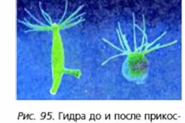 Кракен сайт 1kraken me